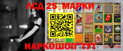 гидропоника Славянск-на-Кубани
