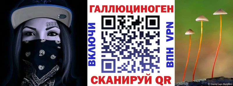 Псилоцибиновые грибы MAGIC MUSHROOMS  купить закладку  Саянск 