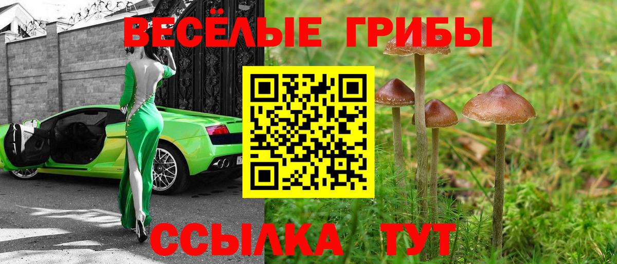 Псилоцибиновые грибы MAGIC MUSHROOMS  Вход с VPN  Саянск 