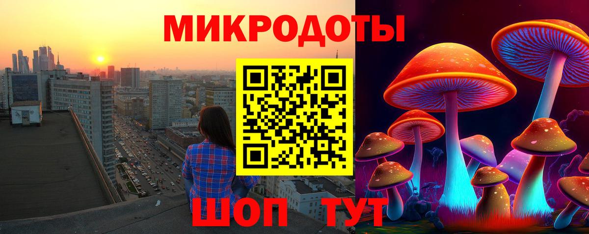 Галлюциногенные грибы Cubensis Саянск
