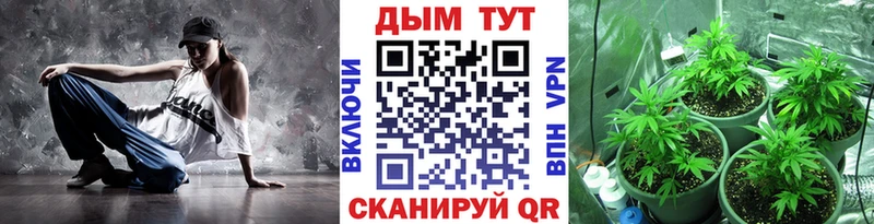 Бошки Шишки сатива  купить наркотик  Саянск 